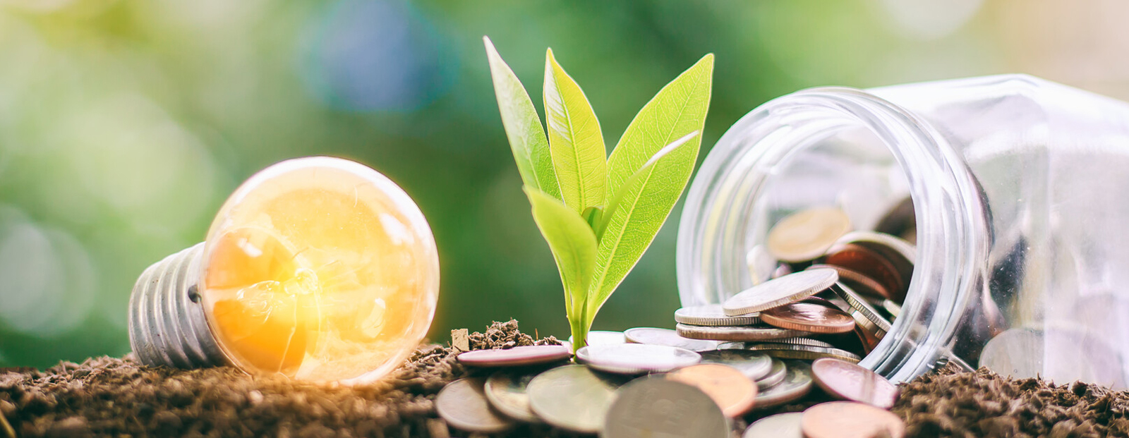 Fördermittelrechner